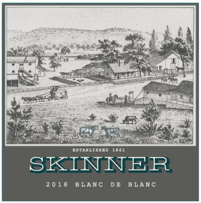 Skinner Vineyards 2018 Blanc de Blancs - Main Street Liquor
