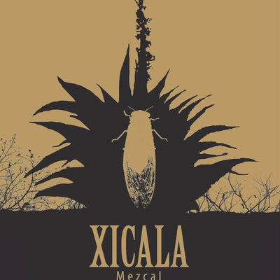 Xicala Joven Mezcal 86 Proof - Main Street Liquor